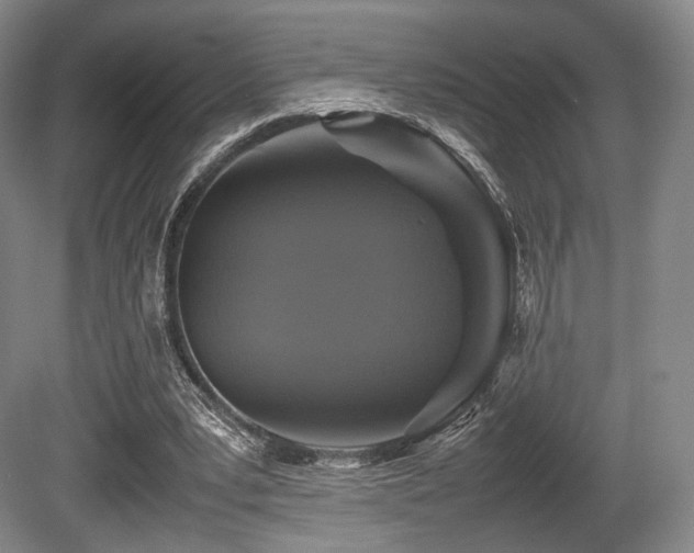X0000080660391200612151136