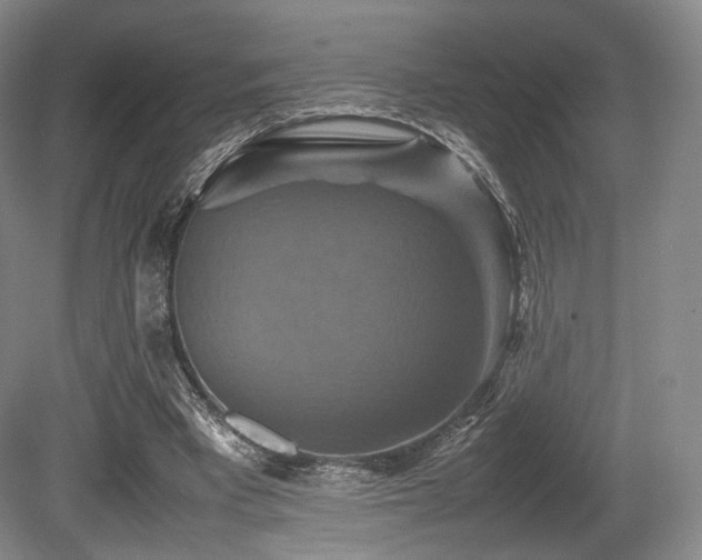 X0000080660393200612151136