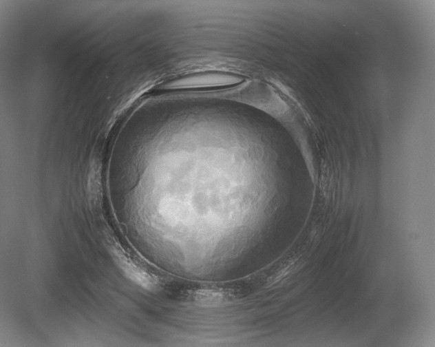 X0000080660394200612151136