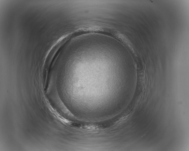 X0000080660395200612151136
