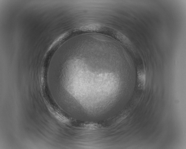 X0000080660396200612151136