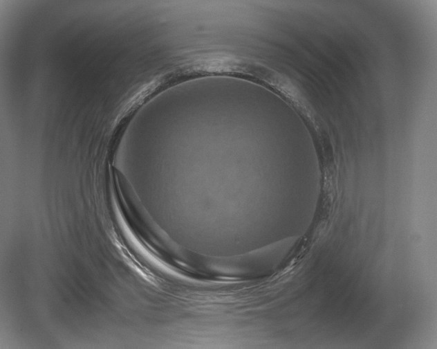 X0000080660397200612151136