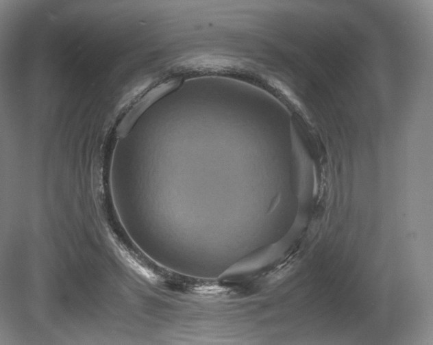 X0000080660399200612151136