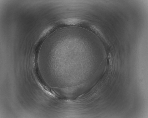 X0000080660400200612151136