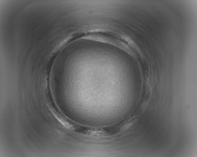 X0000080660401200612151136