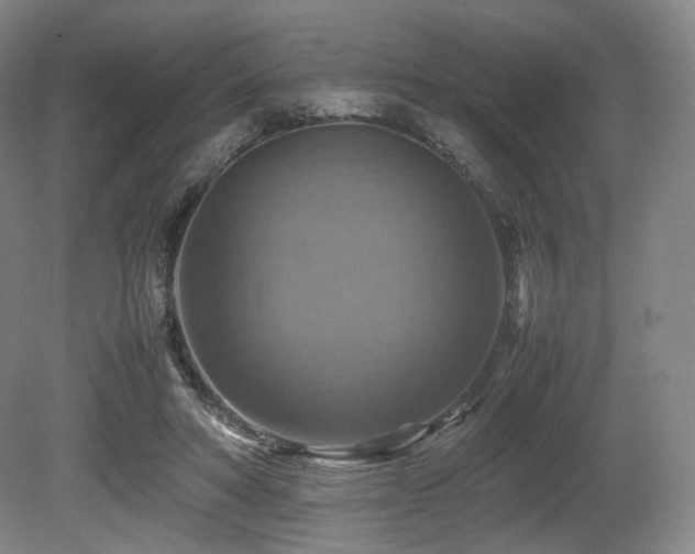 X0000080660402200612151136