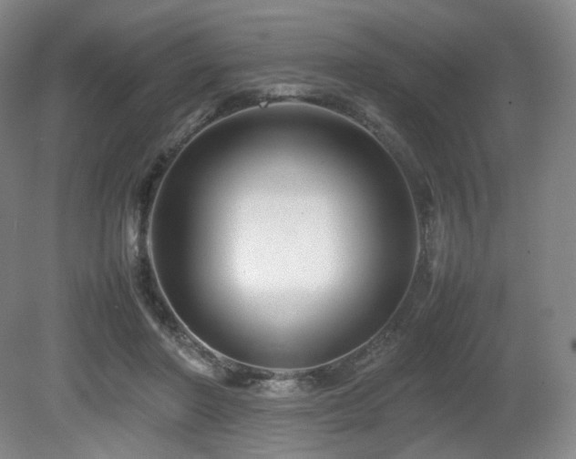 X0000080660406200612151136