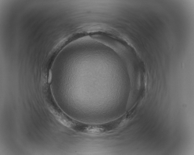 X0000080660407200612151136