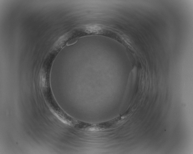 X0000080660408200612151136