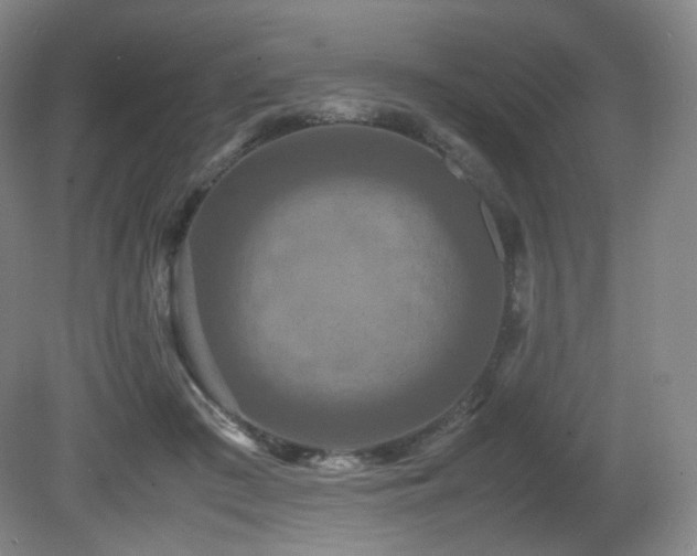 X0000080660409200612151136