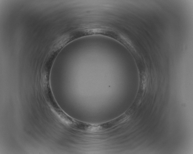 X0000080660410200612151136