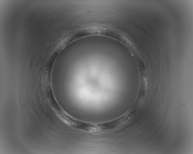 X0000080660411200612151136