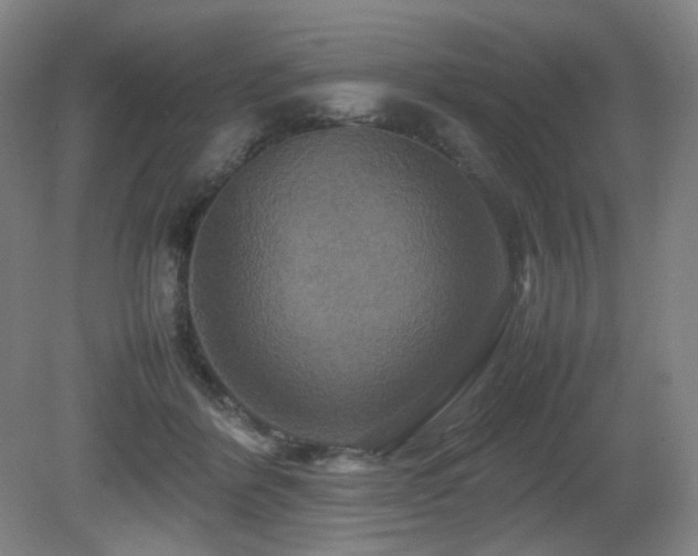 X0000080660412200612151136