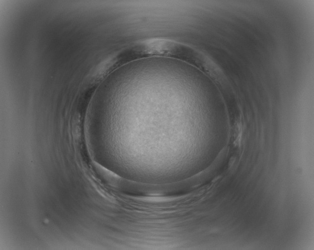 X0000080660413200612151136