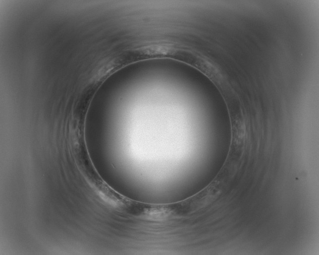 X0000080660414200612151136