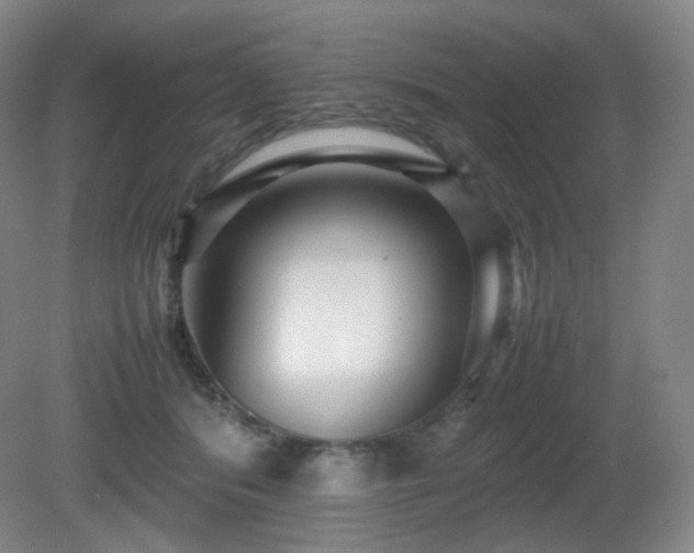 X0000080660416200612151136