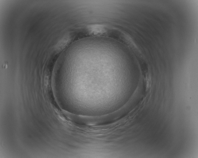 X0000080660417200612151136
