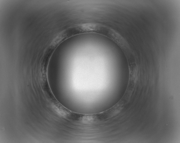 X0000080660418200612151136