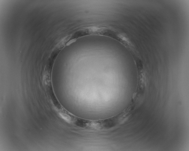 X0000080660419200612151136