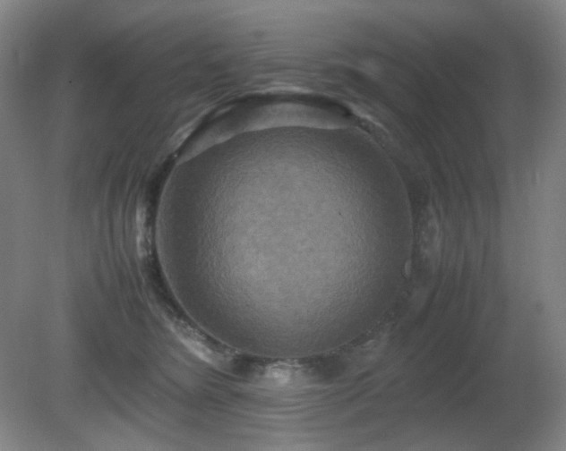 X0000080660420200612151136