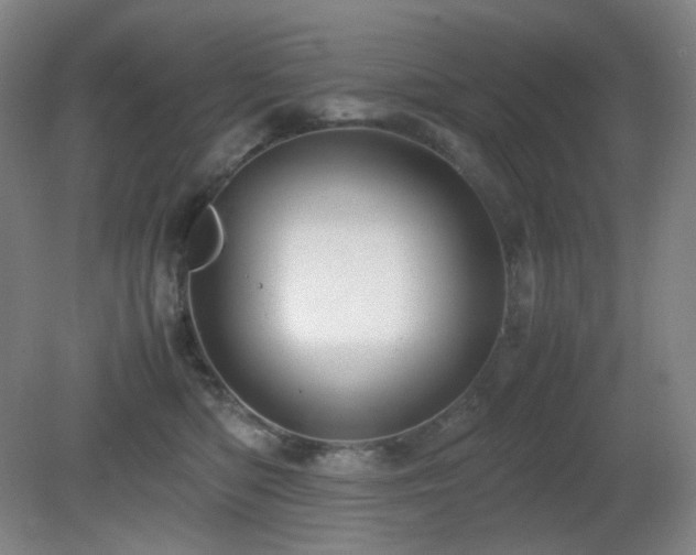 X0000080660422200612151136