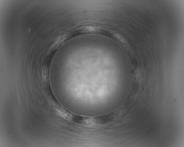 X0000080660423200612151136