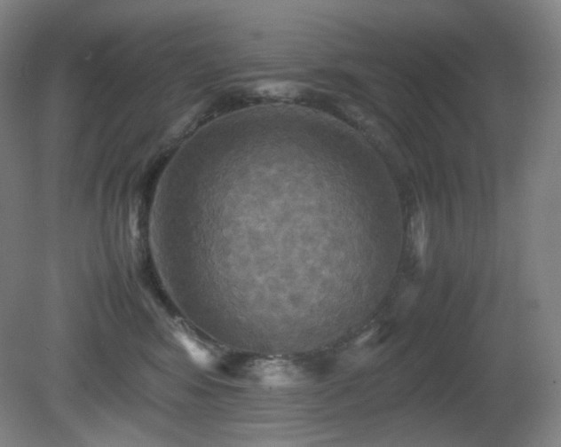 X0000080660424200612151136
