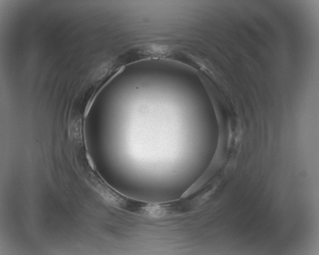 X0000080660425200612151136