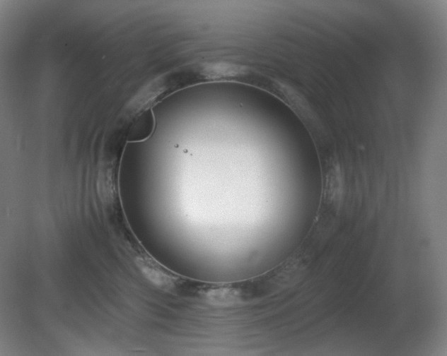 X0000080660426200612151136