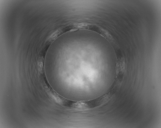 X0000080660427200612151136