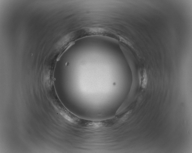 X0000080660428200612151136