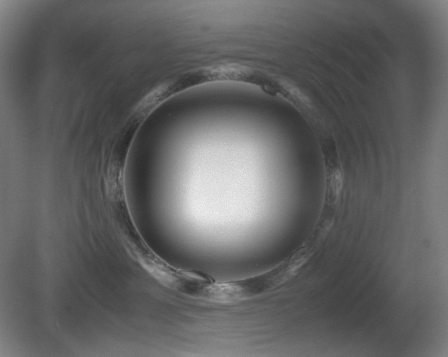 X0000080660429200612151136