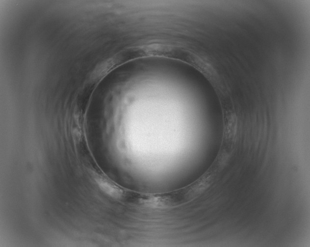 X0000080660430200612151136