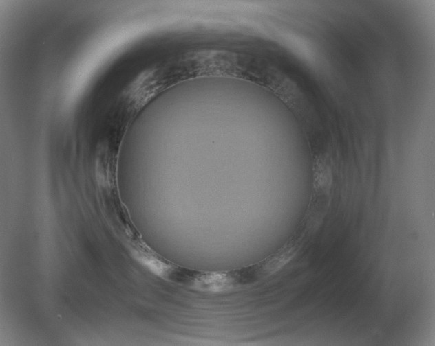 X0000080660431200612151136