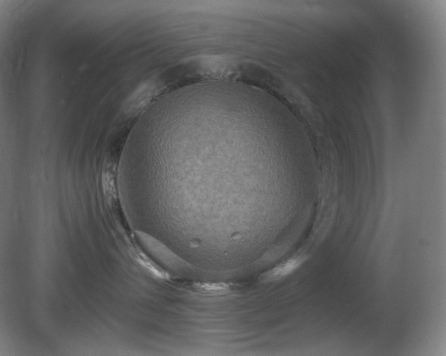 X0000080660432200612151136