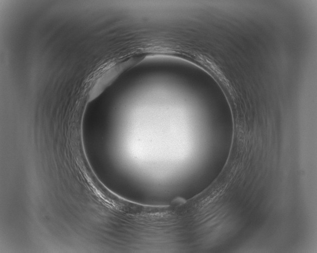 X0000080660433200612151135