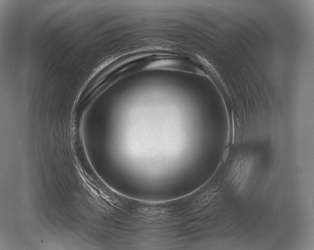 X0000080660435200612151135