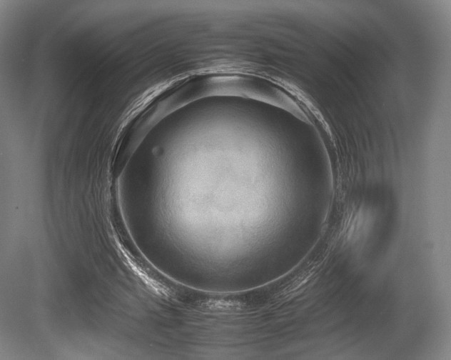 X0000080660437200612151135