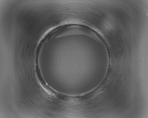 X0000080660438200612151135