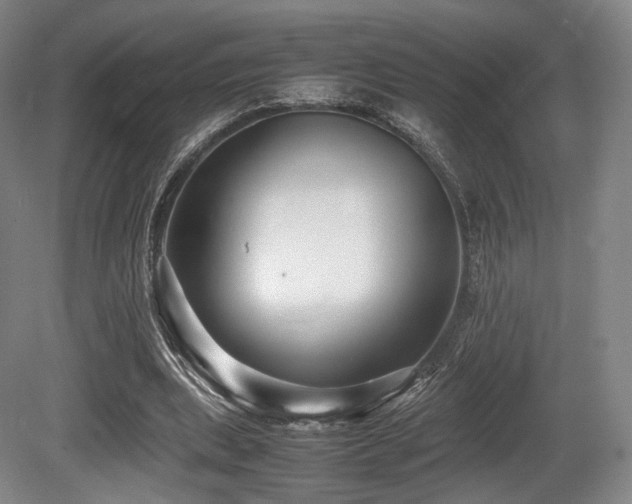 X0000080660439200612151135