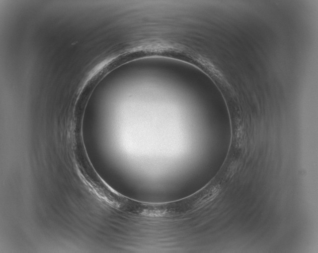 X0000080660440200612151135