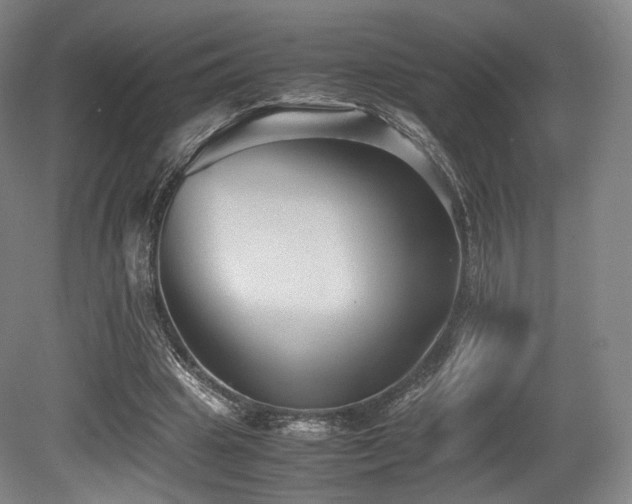 X0000080660441200612151135