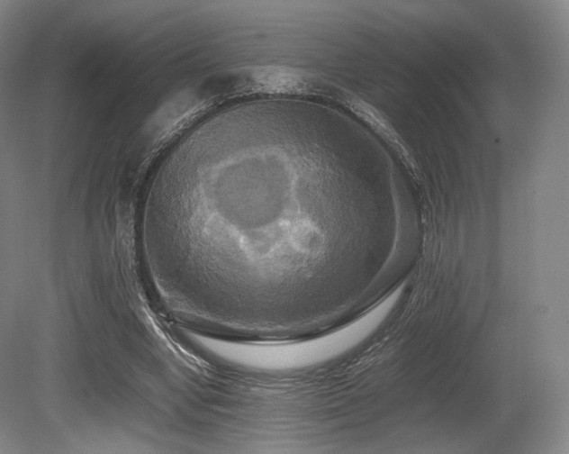 X0000080660442200612151135