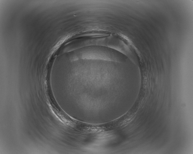 X0000080660443200612151135