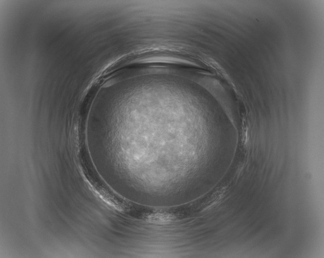 X0000080660444200612151135