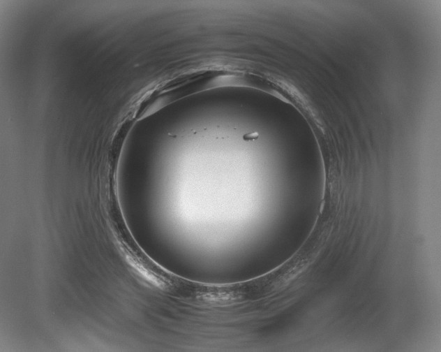 X0000080660445200612151135