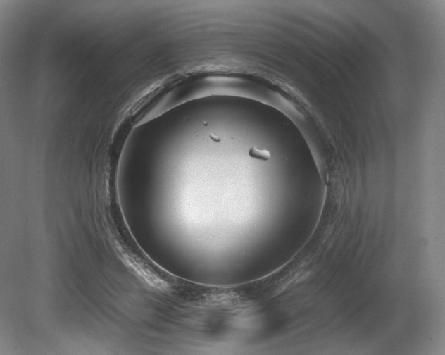 X0000080660446200612151135