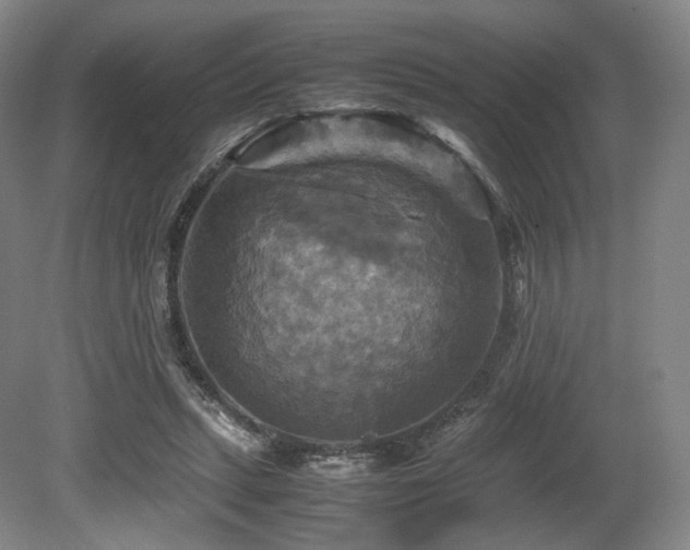 X0000080660447200612151135