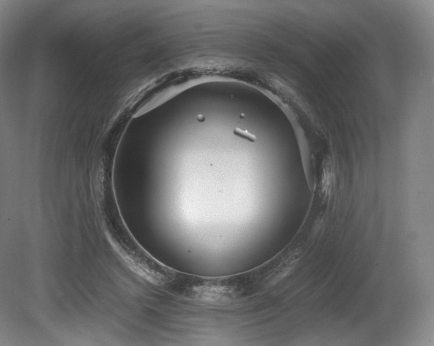 X0000080660448200612151135