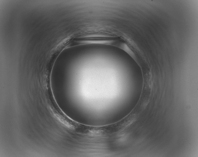 X0000080660450200612151135